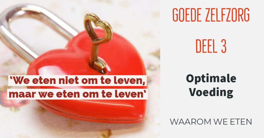 optimale voeding